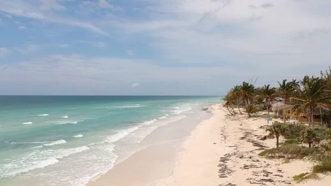 Aerial View of Pelican Point Beach Coastline, Grand Bahama Bahamas Stock Footage 88993783