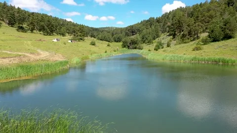 Aerial view of people camping by the lake in the forest Stock Footage 293999341