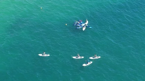 Aerial view of people practicing Stand Up Paddle Surfing in Cascais, Portugal Stock Footage 195501815