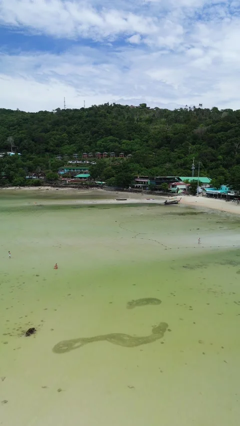 Aerial view of Phi Phi Islands beach in Thailand. Vídeos de archivo 339659715