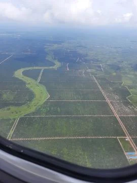 Aerial view Stock-Fotos