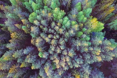 Aerial view Stock Photos