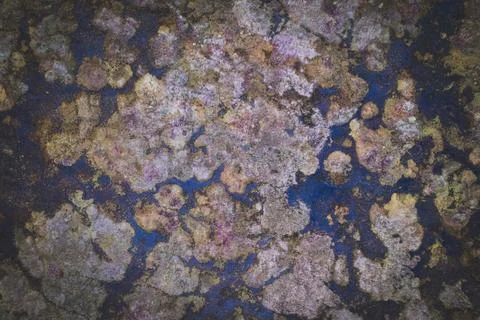 Aerial view Stock Photos