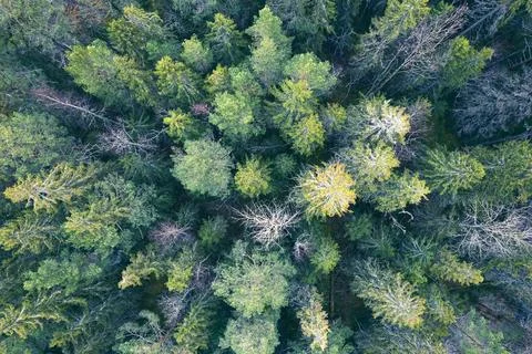 Aerial view Stock Photos