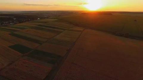 Aerial view of picturesque wheat fields in sunset. 4K Vídeo Stock 78882501