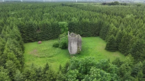Aerial View of Pierce Castle, Rathpatrick, County Kilkenny, Ireland 4K Vídeo Stock 337847395