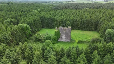 Aerial View of Pierce Castle, Rathpatrick, County Kilkenny, Ireland 4K Video stock 337847421