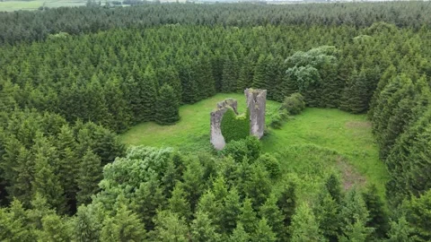 Aerial View of Pierce Castle, Rathpatrick, County Kilkenny, Ireland 4K 库存影片 337847470