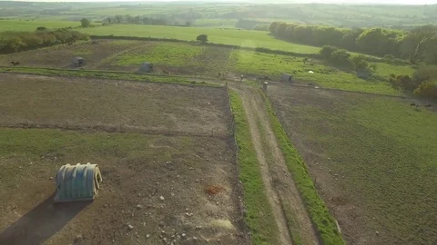 Aerial view of pigs on a free range pig farm, Ireland Stock Footage 84271331