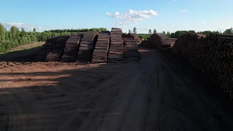 Aerial view: Piles of freshly cut trees are stored outdoors. Stock Footage 161054652