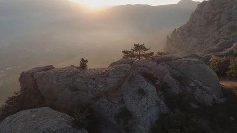 Aerial view pine on the cliff of the mountain againist sunset. Crimea Stock Footage 118619137