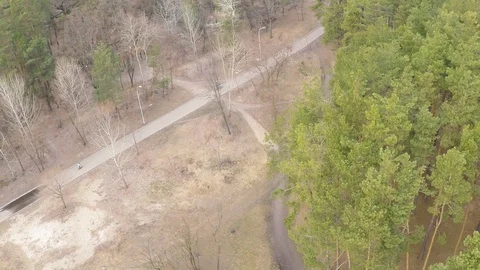 Aerial view of pine-deciduous forest in early spring Stock Footage 104159843