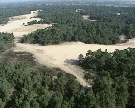 Aerial view pine forest and drift sand area Wekeromse Zand, the Netherlands Stock Footage 29682364