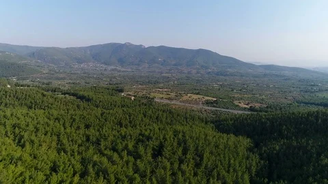 Aerial View of Pine Forest and Mountain, 4K UHD Video Stock-Footage 77659231
