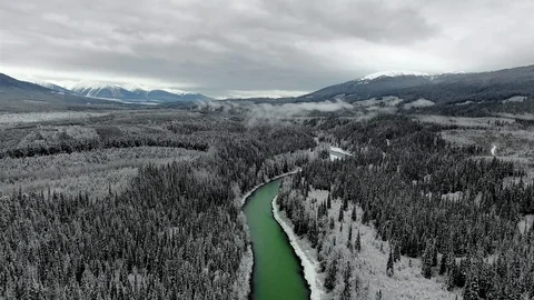 Aerial view of the pine forest and emerald river in winter near the mountain Video stock 119235848