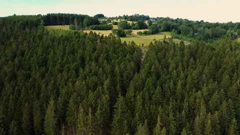 Aerial view of pine forest and few houses in Germany Stock-Footage 127664198
