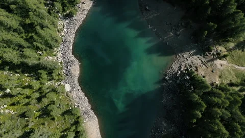 Aerial view on pine forest and turquoise alpine lake in Italian Alps Видео 249990847