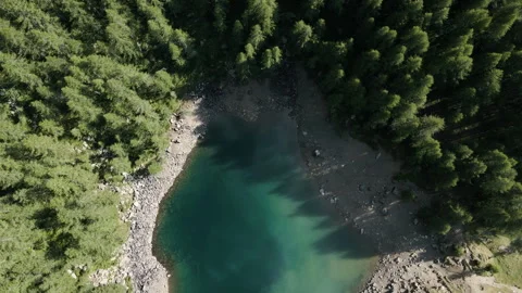 Aerial view on pine forest and turquoise alpine lake in Italian Alps Vidéo 250013138
