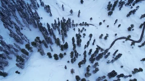 Aerial view of pine forest and roads of Malam Jabba Hill station covered in snow Stock Footage 269455598