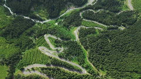 Aerial View of Pine Forest and Mountain Serpentine Road. Drone Footage Stock Footage 301100748