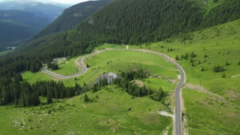 Aerial View of Pine Forest and Mountain Road. Drone Footage Stock Footage 301101319