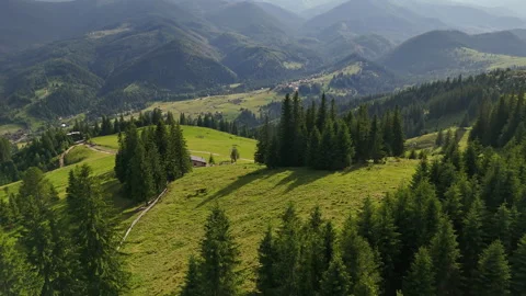 Aerial view of pine forest and mountain village. Scenic aerial perspective Stock Footage 313143279