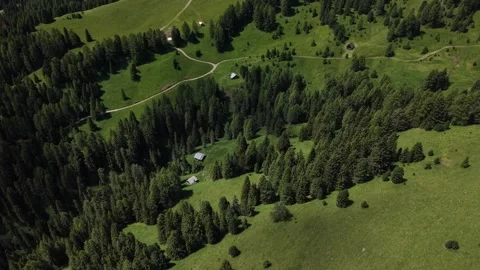 Aerial View of Pine Forest and Alpine Huts, Dolomites Italy Stock Footage 339879305
