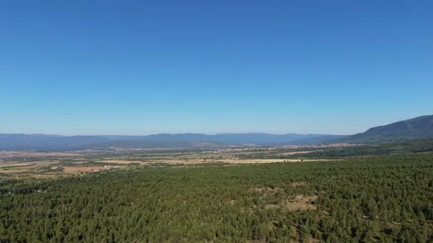 Aerial View of Pine Forest and Razlog Valley in Pirin Bulgaria Stock Footage 343794893