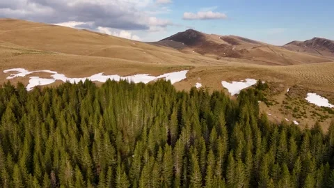 Aerial view of pine forest in the Bucegi Mountains, Romania. Stock Footage 340220011