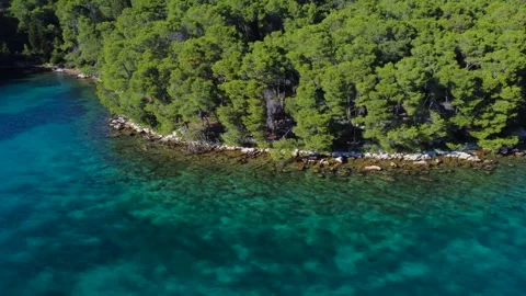 Aerial view of a pine forest coastline and clear turquoise water in croatia Stockbeeldmateriaal 340182282