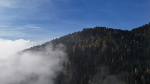 Aerial View of Pine Forest Covered in Morning Fog – Mountain Landscape Stock Footage 345230239