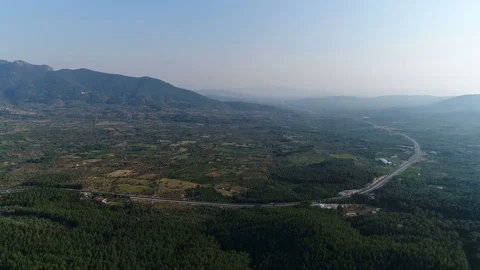 Aerial View of Pine Forest, Fields and Road, 4K UHD Video Stock Footage 77657250