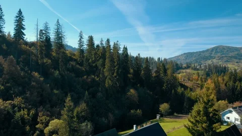 Aerial view on pine forest Stock Footage 105189578