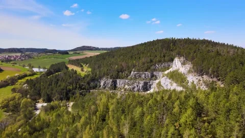 Aerial view to Pine Forest on a hill Stock Footage 239916550