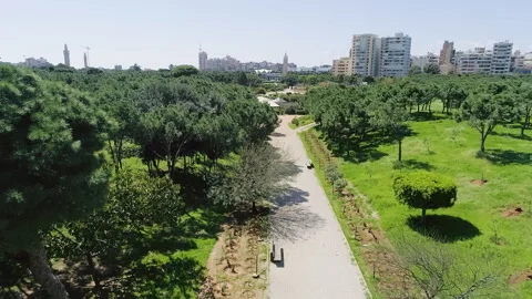 Aerial view of Pine Forest, the largest public park in Beirut, Lebanon Video stock 254911002
