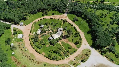 Aerial view of Pine Forest, the largest public park in Beirut, Lebanon Stock Footage 254925305