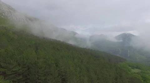 Aerial view of the pine forest in the mountains Video stock 63473626