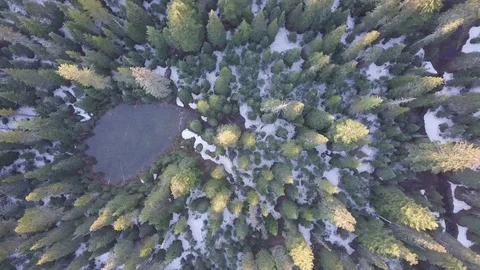 Aerial view, pine forest, river and pond with snow in spring time. Oregon, USA Stock-Footage 128915311