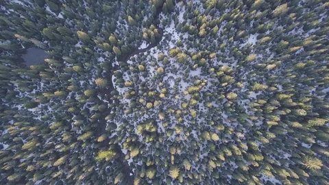 Aerial view, pine forest, river and pond with snow in spring time. Oregon, USA Stock Footage 128915570