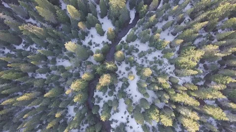Aerial view, pine forest, river and pond with snow in spring time. Oregon, USA Stock Footage 128915897