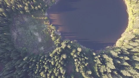 Aerial view, pine forest, river and pond in summer time. Mount Hood, Oregon Stock Footage 128919317