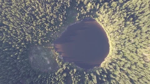 Aerial view, pine forest, river and pond in summer time. Mount Hood, Oregon Stock Footage 128919631