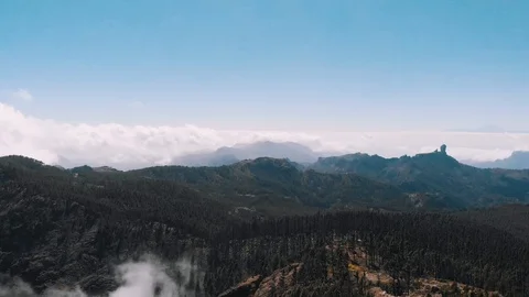 Aerial view - pine forest on the side of a volcano, mountains and valley, Pico Stock Footage 113228986