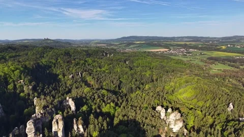 Aerial view of pine forest with tall limestone pillars, shifting to patchwork Stock Footage 346262959