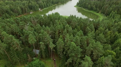 Aerial view of pine forest with a view of the great river Stock Footage 66237762