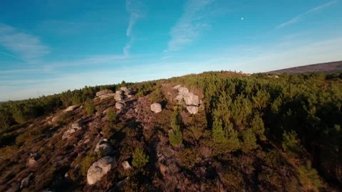 Aerial View Of A Pine Forest With Visible Boulders Sky With Contrail Stock Footage 333199422