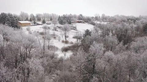 Aerial view of pine forest in winter. Stock Footage 146057770