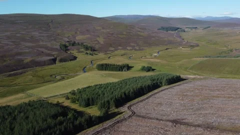 Aerial view Pine logging plantation Scottish Highlands Scotland UK Stock Footage 258650571
