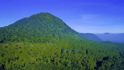 Aerial View of Pine Rainforest with Blue Mountains, Bandung, West Java 库存影片 93219840
