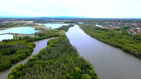 Aerial View of Pine River and Murrumba Downs Suburb Video stock 152001006
